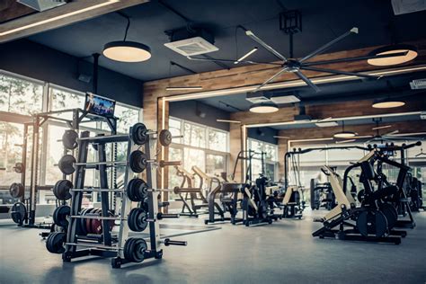 gym aviles|Best Gym & Fitness Near Me in Aviles